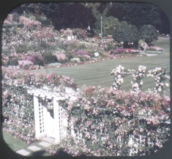 Butchart Garden - Victoria, B.C - View-Master 3 Reel Packet - vintage - A016-G1A Hot on Sale