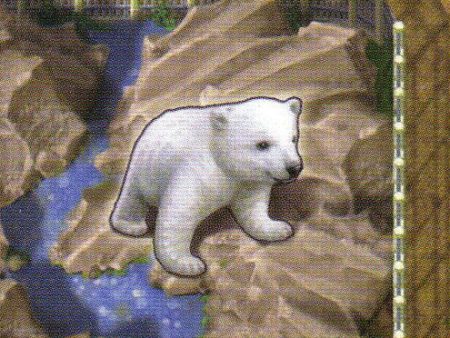 Zooloretto: Polar Bear Online